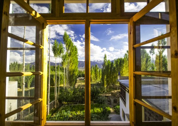 Wood Window Replacement in Ballwin