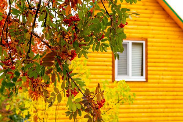 Garden Window Replacement in Ballwin